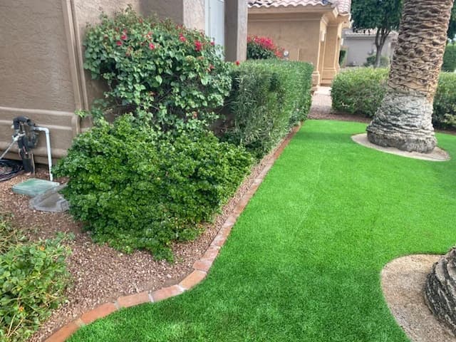 Front bushes