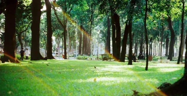 Shine park