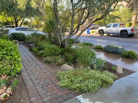 Side brick path